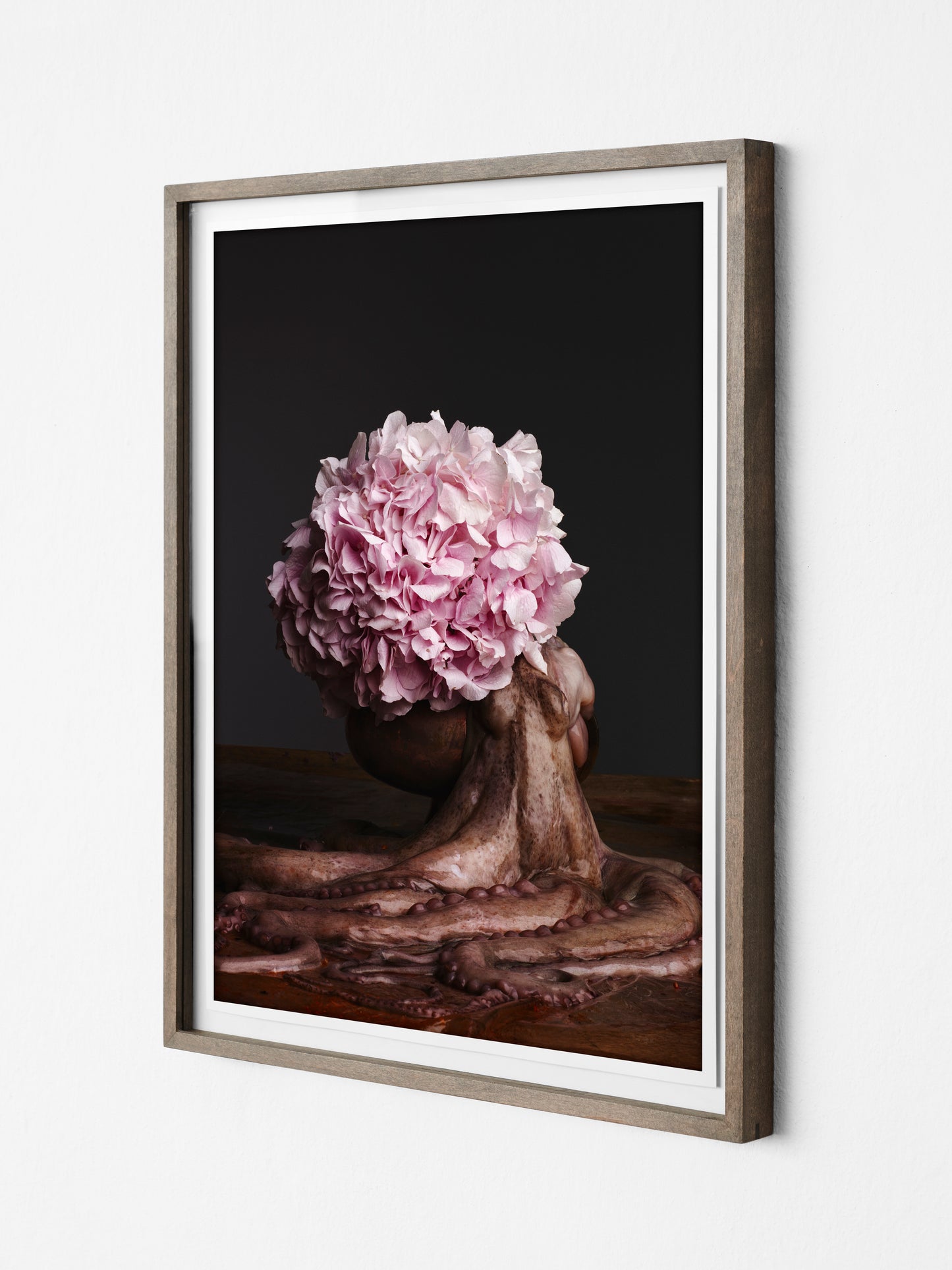 Flower, 2015