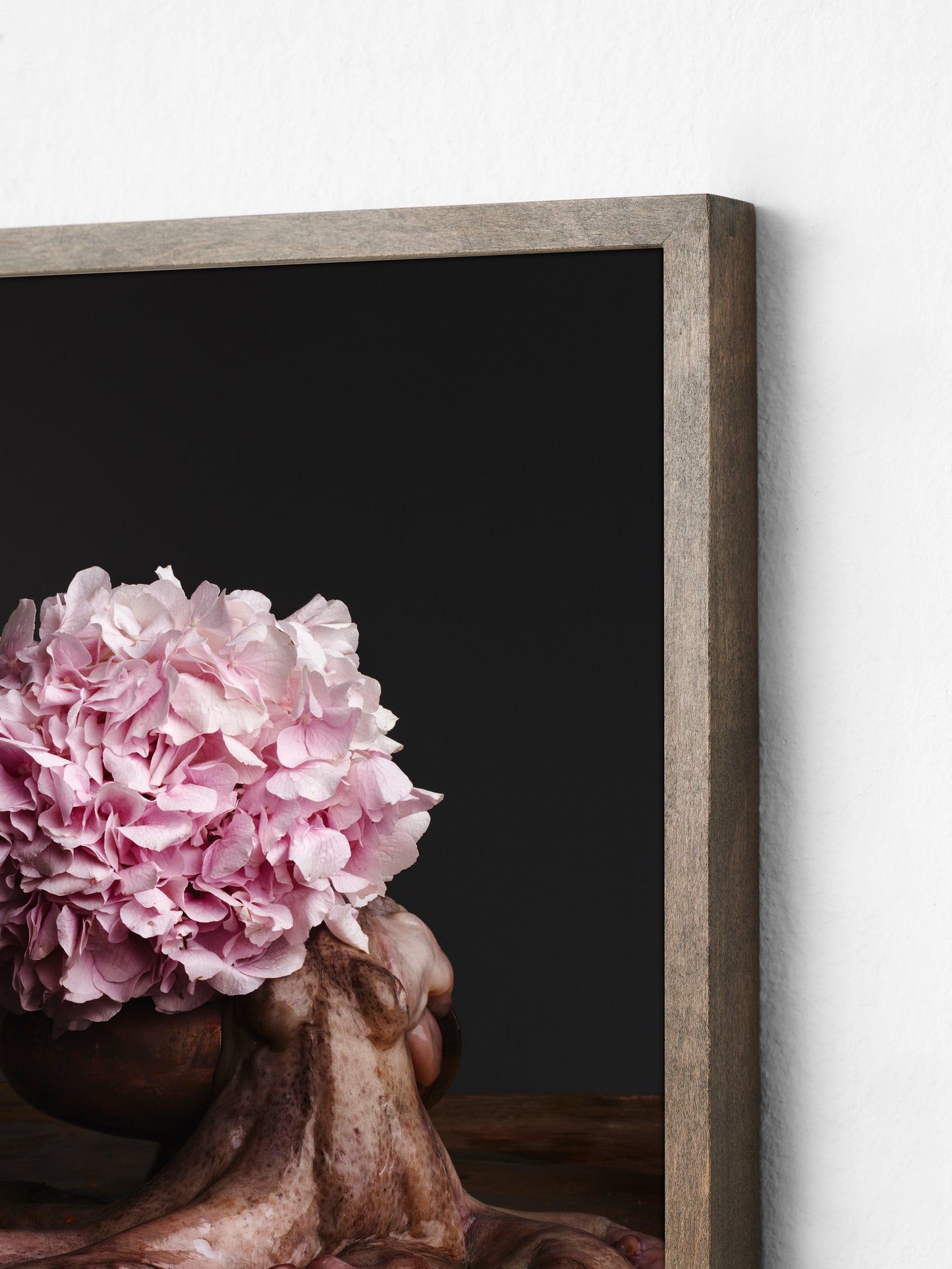 Flower, 2015