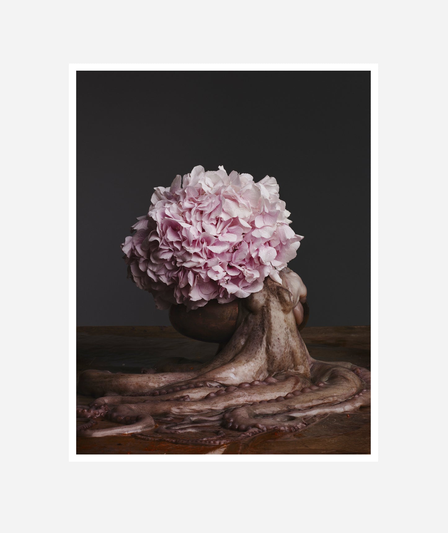 Flower, 2015